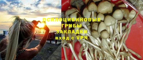 молекула духа Аркадак