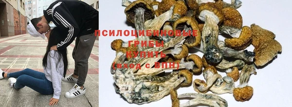 молекула духа Аркадак