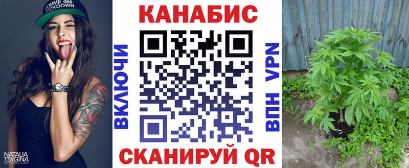 Бошки Шишки OG Kush  где можно купить наркотик  Ахтубинск 